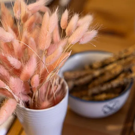 Апартаменты Pavlos